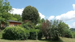 Le Gîte de la Viguerie caché dans le parc - 12320 Pruines