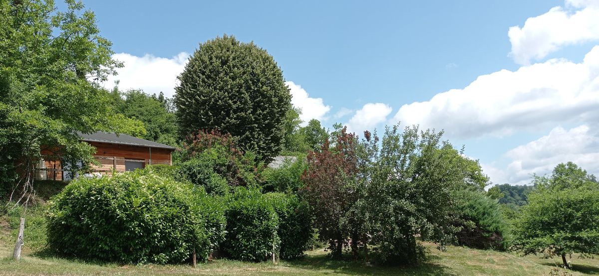 Le Gîte de la Viguerie caché dans le parc - 12320 Pruines